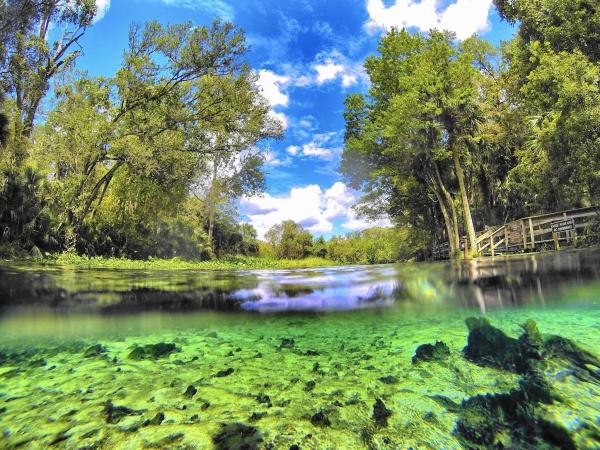 Wekiwa Springs, um paraíso na Flórida