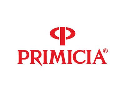 Primicia, as Malas de viagem favoritas do Brasil